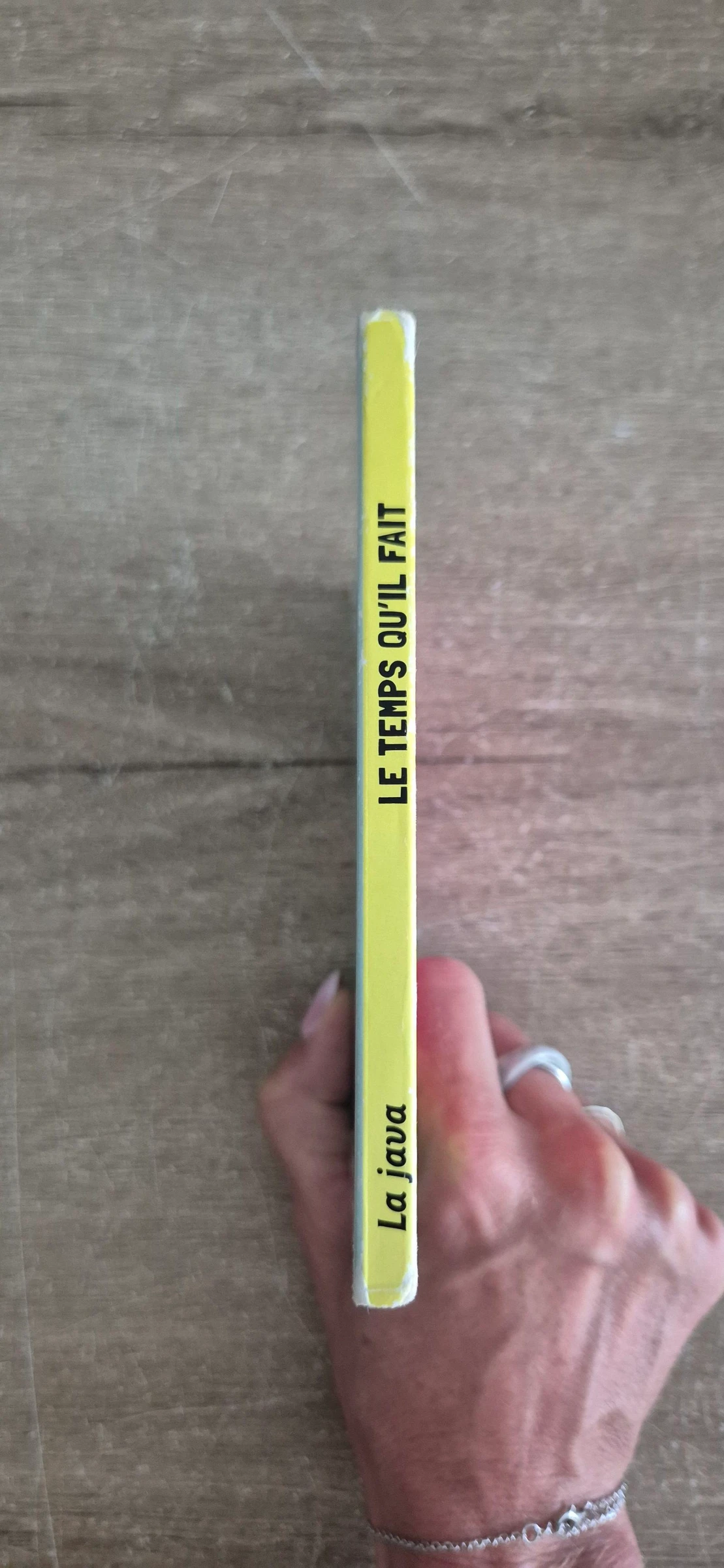 Livre Le temps qu'il fait  – photo 8